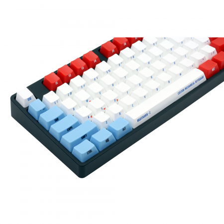 AN EXAMPLE: Max Keyboard Nighthawk Z Custom Color Mechanical Keyboard with Side Print
